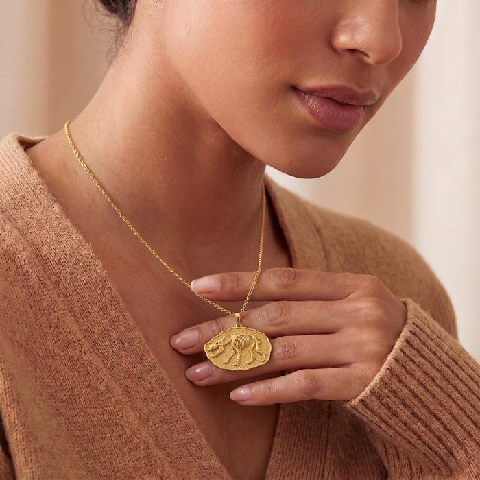 Gold Plated Silver Entelodon Fossil Pendant Necklace worn with a neutral knit top