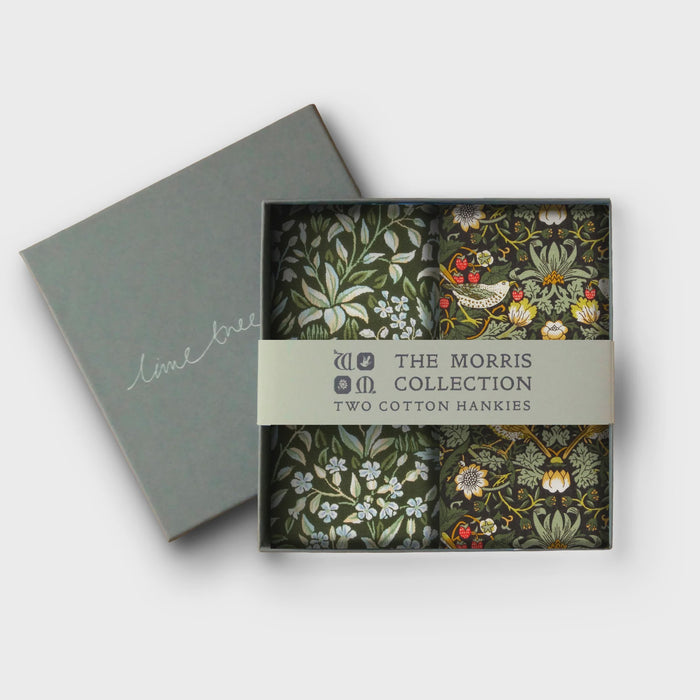 Lime Tree Design - 2 Hankies in Gift Box / Morris Collection - Bluebell