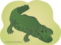 Large Notepad - Gator - Creative Shapes Etc.