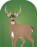 Mini Notepad - Deer - Creative Shapes Etc.