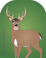 Mini Notepad - Deer - Creative Shapes Etc.
