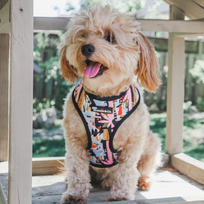 *Urban Pawradise Reversible Harness